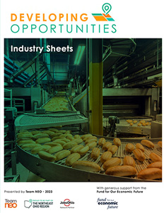 Developing Opportunities Industry Sheets