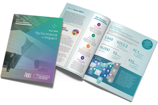 Image of the 2024 Annual Performance & Impact Report